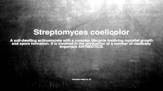 Medical vocabulary What does Streptomyces coelicolor mean [upl. by Maximo933]