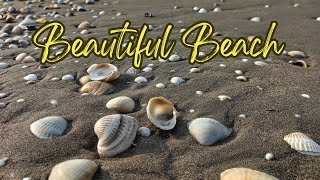 Beach Sounds for Relaxation Waves Crashing Sounds Beautiful Caspian Sea [upl. by Kenney267]