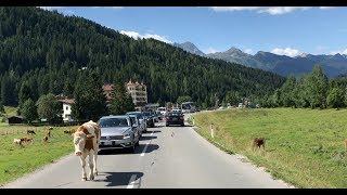 Staumeldung 1km Stau in Gerlos [upl. by Anan277]