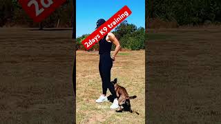 K9 training dog training K9youtubeshort dog dogtraining shorts youtubeshort [upl. by Airdnahc]