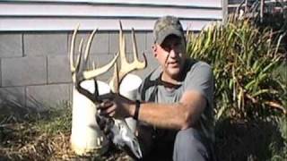 Preserving Your Trophy Deer Head [upl. by Lavicrep]