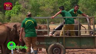 Sobadhara  සොබාධාරා  Season 2  Episode  28  20180810  Rupavahini Documentary [upl. by Kandy]