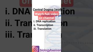 Difference between transcription and translation  online biology  biologybasixSM  study routin [upl. by Hannon]