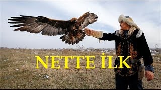 Kartal ile Avlananlar  Türkçe DublajNette İlk [upl. by Eatnad]