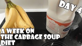 A Week On The Cabbage Soup Diet DAY 4 [upl. by Resor271]