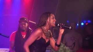 ALAINE live in Vienna 20140922 [upl. by Esialb]