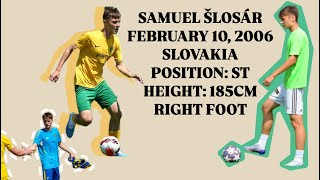 Samuel Šlosár  Highlights [upl. by Airliah]