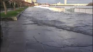 RheinPegel Köln steigt👉🏻 news hochwasser [upl. by Acinnad512]