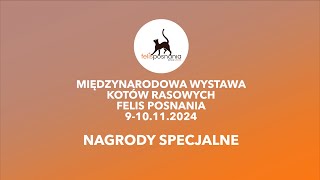 Felis Posnania  Nagrody Specjalne na Międzynarodowej Wystawie Kotów Rasowych Poznań 2024 [upl. by Baxter852]