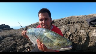 Topwater lure fishing  Leerfish 6kg Leccia Amia Lica [upl. by Wilbert]