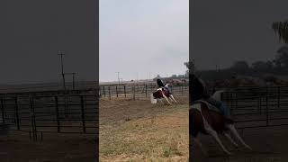 Wixiiieee horse equestrain barrelracing [upl. by Meador]