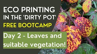 Free Eco Printing Bootcamp  Day 2 [upl. by Miranda]