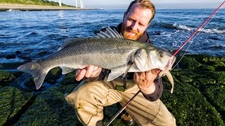 Fishing in Holland  vissoort zeebaars [upl. by Kong]