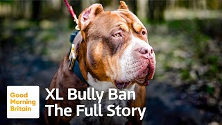 XL Bully Ban The Full Story [upl. by Chobot]