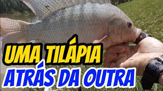 PESCARIA DE TILÁPIA achei o ninho delas 🎣🎯🎯 [upl. by Muriel]