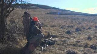 Hunting Whitetail Deer Alberta Canada Winchesters World Of Whitetails With Willow Creek Outfitters [upl. by Nodarb]