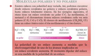 Apolaridad y polaridad y su relación con las mezclas [upl. by Nwahsirhc]