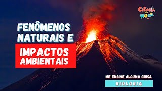 FENÔMENOS NATURAIS E IMPACTOS AMBIENTAIS  com Profa Stéfani Diniz Teodoro [upl. by Marybella]