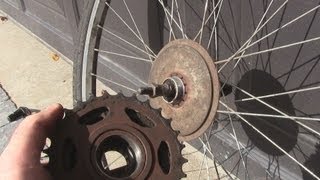 How to Change a FreewheelCassette on a Bicycle [upl. by Dane]