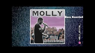 M0lly  żyję marzeniami Audio Bass Boosted [upl. by Jeniffer]