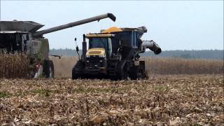 Récolte de maïs 2013  Corn harvest  Challenger MT 865C Sound [upl. by Malorie697]