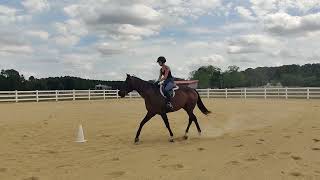 show 2 2024 caylee Ostendorf equitation pattern [upl. by Ralph]