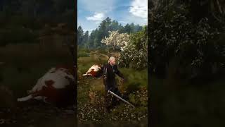 „Lustige GameFakten Der KuhMonsterExploit in Witcher 3🐄witcher3 gaming gamefacts games [upl. by Wynny125]