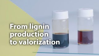 From lignin production to valorization [upl. by Acirtal]