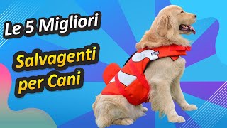 Le 5 Migliori Salvagenti per Cani [upl. by Arodoet]