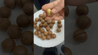 Macadamia Nut food foodie [upl. by Skolnik]