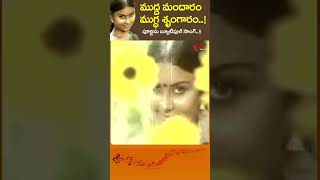 ముద్ద మందారం ముగ్ధ శృంగారం Mudda Mandaram Song  Purnima Muddamandaram shorts Youtubeshorts [upl. by Asselim]