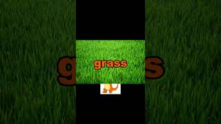 Grass vs Green The Roast Battle Begins 🌿 kick ch3spin [upl. by Anastos]