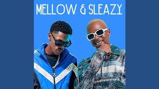 Mellow amp Sleazy  Bumjive 20 Official Audio [upl. by Gannie]