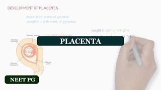 QAs  Anterior Placenta means baby Girl  Posterior Placenta means baby GirlBoy  Fundal Placenta [upl. by Dahsar]