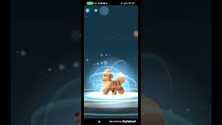 ¡Evoluciono mi primer growlithe [upl. by Bovill]