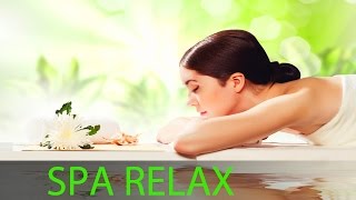 6 Hour Relaxing Spa Music Yoga Music Soothing Music Massage Music Calming Music ☯361 [upl. by Eilah]