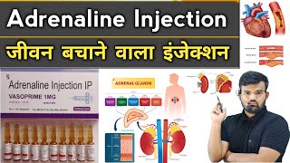 Adrenaline Injection  Medicine  Medicine Use  Emergency Medicine  Treatment  Disease  Doctor [upl. by Bibah]