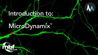 Introduction to MicroDynamix [upl. by Jollenta]