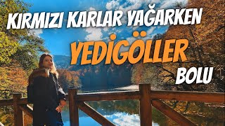 BOLU YEDİGÖLLER  EN GÜZEL ZAMANDA [upl. by Rachele]