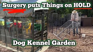 A PERFECT Vegetable Garden to Keep Out PEST amp Protect MY Growing Food in Dog Kennel Update on Gary [upl. by Amlez865]