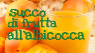 SUCCO DI FRUTTA ALLALBICOCCA FATTO IN CASA DA BENEDETTA  Natural Homemade Apricot Juice [upl. by Miko]