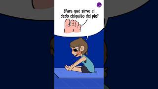 ¿Para qué sirve el dedo chiquito del pie [upl. by Arza861]