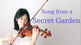 Song From A Secret Garden  Violin Solo  alisa t [upl. by Ahsinej]