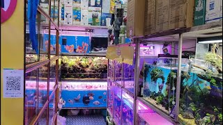 KOLKATA BEST AQUARIUM SHOP [upl. by Coffin]