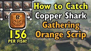 Copper Shark  Orange Gathering Scrip fish  FF14 Dawntrail [upl. by Ioyal975]