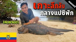 🇪🇨 EP6 ทำไมเกาะนี้เต็มไปด้วยสัตว์ประหลาด  Island where full of monster animals GALAPAGOS [upl. by Atnuhs]