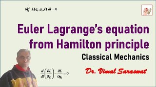 Euler Lagrange equation from Hamilton principle  E22  Classical mechanics [upl. by Ashil543]