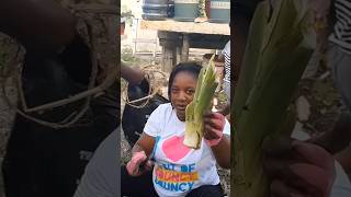 How to prep Dasheen Cuttings youtubeshorts short farming food home viral kitchen diy asmr [upl. by Ahon753]