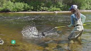 Kalamouche saison 4 sur la rivière Les Escoumins [upl. by Ame670]