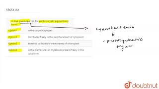 In blue green algal cell the photosynthetic pigments are found [upl. by Ahsurej]